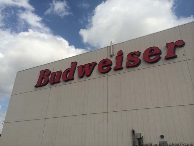 Budweiser Brewery Experience